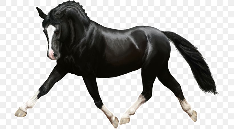 Mane Pony Rein Mustang Stallion, PNG, 722x455px, Mane, Bridle, Deviantart, Halter, Horse Download Free
