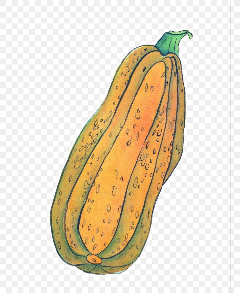 Pumpkin Calabaza Ink Wash Painting Jack-o-lantern Illustration, PNG, 757x1000px, Pumpkin, Auglis, Calabaza, Commodity, Cucumber Gourd And Melon Family Download Free