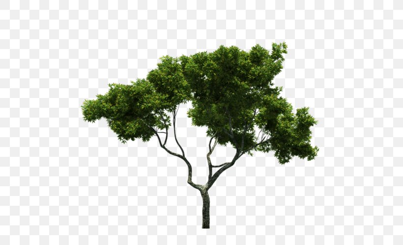 Tree Landscape Trunk Green, PNG, 500x500px, Tree, Branch, Green, Landscape, Leaf Download Free