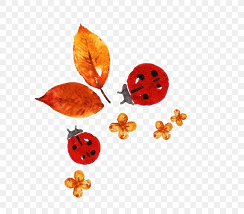 Download Ladybird Computer File, PNG, 734x720px, Ladybird, Autumn, Flower, Jpeg Network Graphics, Leaf Download Free