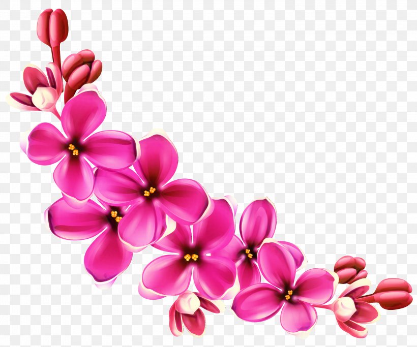 Clip Art Desktop Wallpaper Image Transparency, PNG, 2994x2495px, Drawing, Artificial Flower, Blossom, Branch, Cherry Blossom Download Free