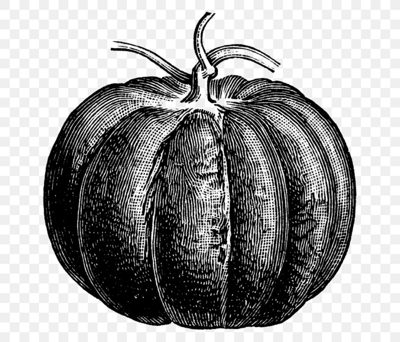 Pumpkin, PNG, 696x700px, Pumpkin, Calabaza, Cucurbita, Drawing, Fruit Download Free