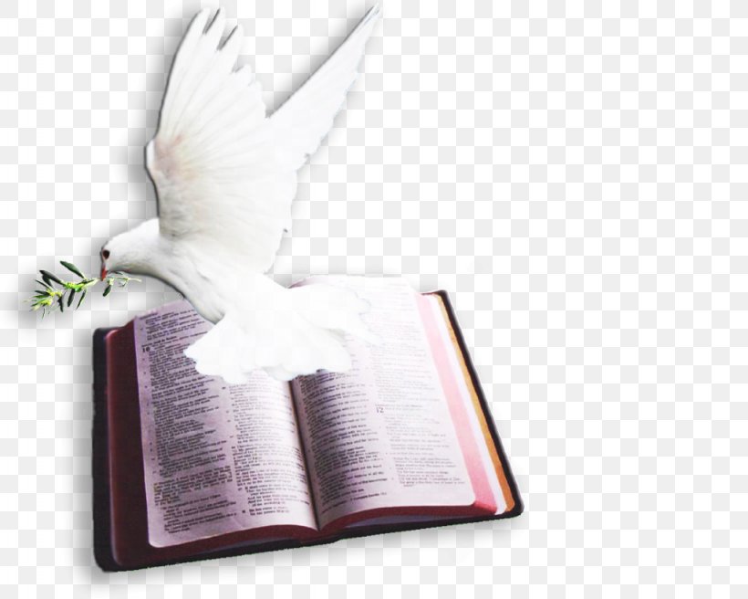 Chapters And Verses Of The Bible Psalms Doves As Symbols Pigeons And Doves, PNG, 1024x820px, Watercolor, Cartoon, Flower, Frame, Heart Download Free