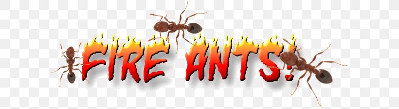 Red Imported Fire Ant Insect Pest Control, PNG, 616x224px, Ant, Arthropod, Entomology, Fire Ant, Insect Download Free