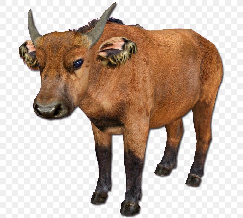 Zoo Tycoon 2 Cattle African Buffalo African Forest Buffalo, PNG, 711x734px, Zoo Tycoon 2, African Buffalo, African Forest Buffalo, American Bison, Animal Download Free