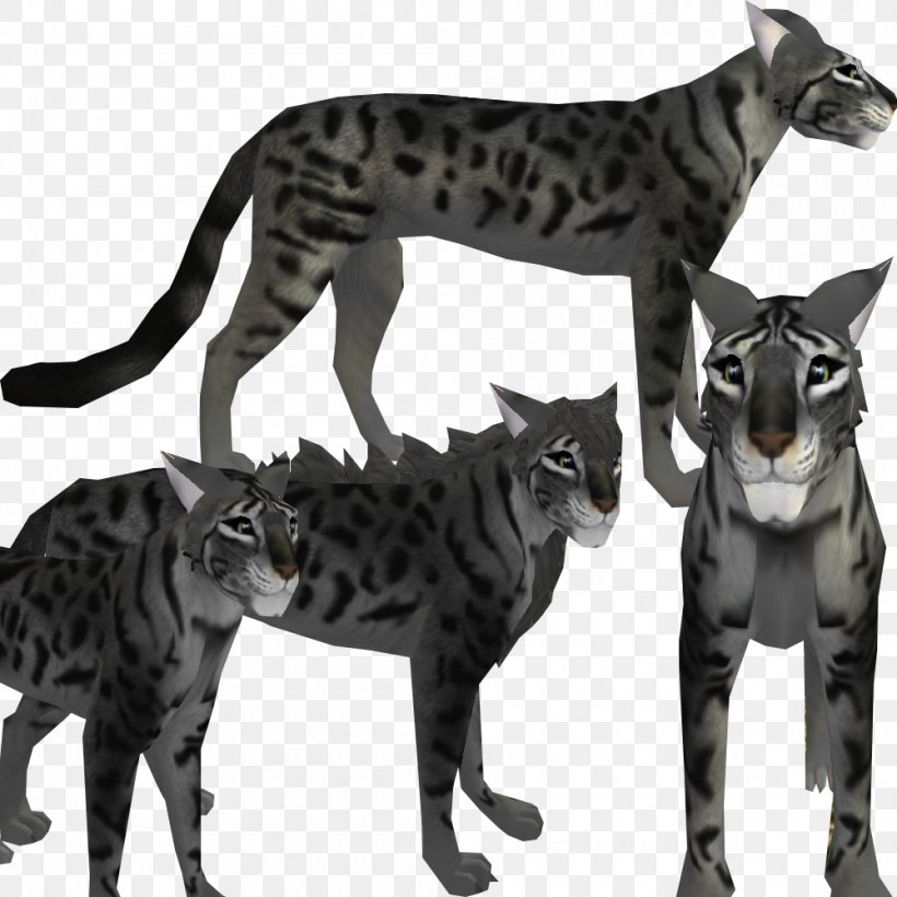 Bengal Cat Feral Cat Felidae Kitten, PNG, 1000x1000px, Bengal Cat, Big Cat, Big Cats, Black Cat, Carnivoran Download Free