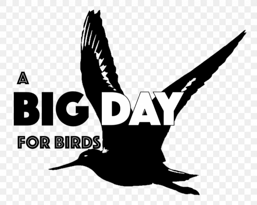 Bird Logo Beak Mississippi Font, PNG, 835x665px, Bird, Americas, Beak, Black And White, Brand Download Free