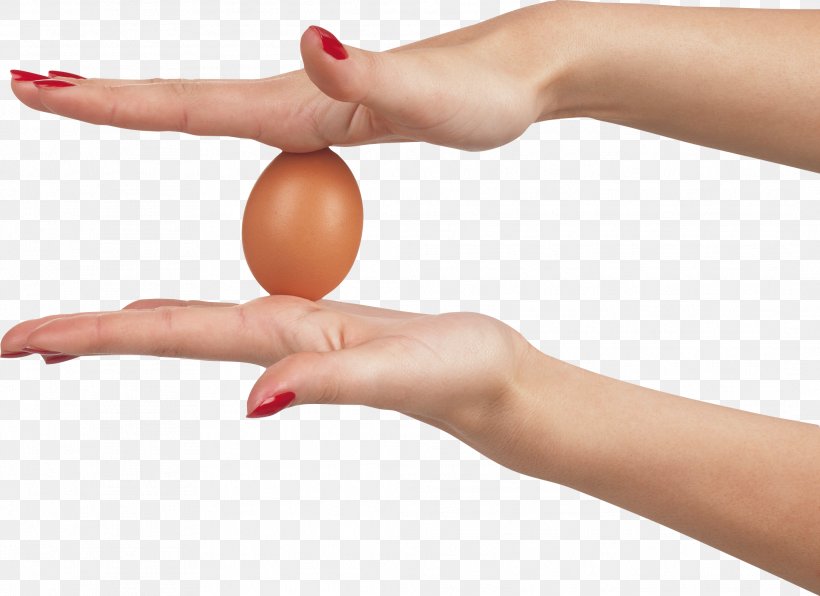 Chicken Egg Omelette, PNG, 2131x1549px, Fried Egg, Anatomy, Arm, Egg, Egg White Download Free