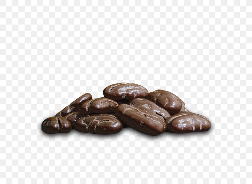 Cocoa Bean Commodity Cacao Tree, PNG, 600x600px, Cocoa Bean, Cacao Tree, Chocolate, Chocolate Coated Peanut, Commodity Download Free
