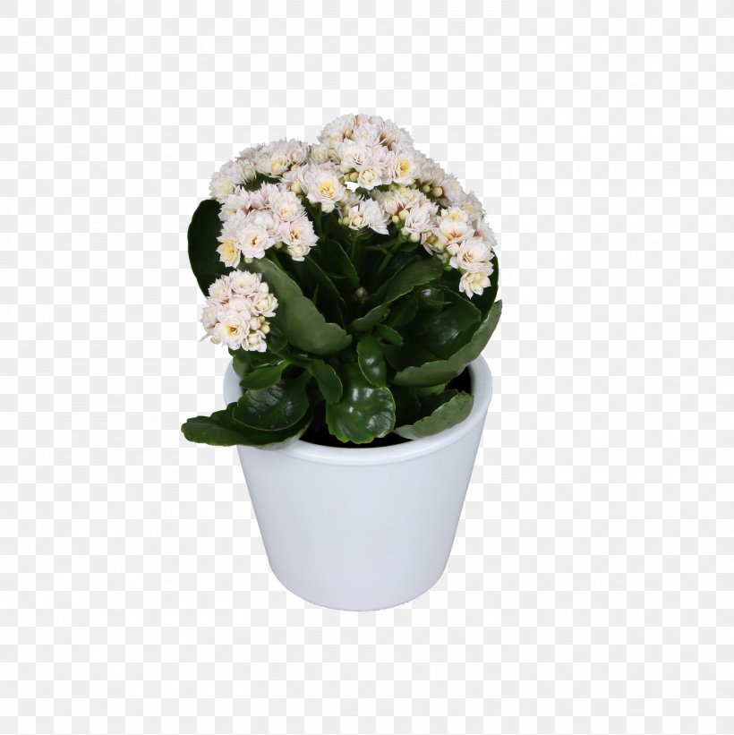 Cut Flowers Flowerpot Artificial Flower Flowering Plant, PNG, 1473x1476px, Cut Flowers, Artificial Flower, Flower, Flowering Plant, Flowerpot Download Free