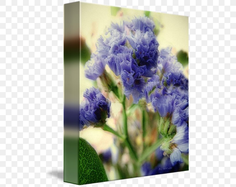 English Lavender Floral Design Cut Flowers Bluebonnet, PNG, 505x650px, English Lavender, Blue, Bluebonnet, Cut Flowers, Floral Design Download Free