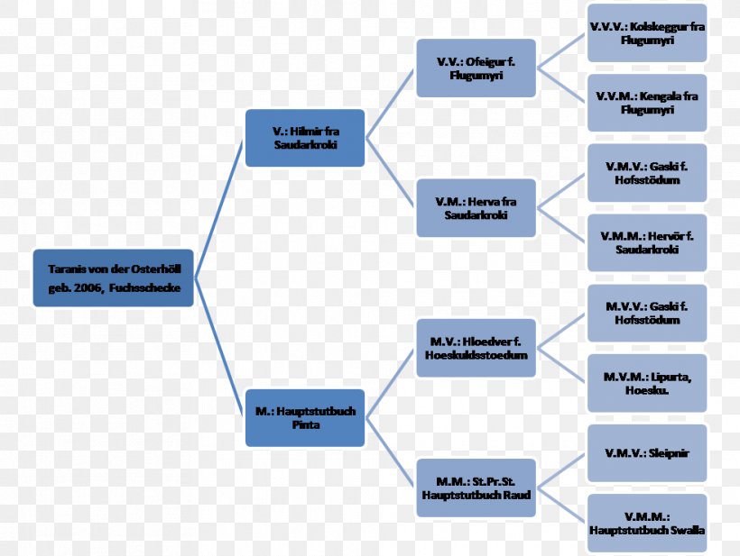 Family Tree Stakeholder Analysis Linearity Diagram Reihenfolge, PNG, 986x743px, Family Tree, Area, Brand, Communication, Diagram Download Free