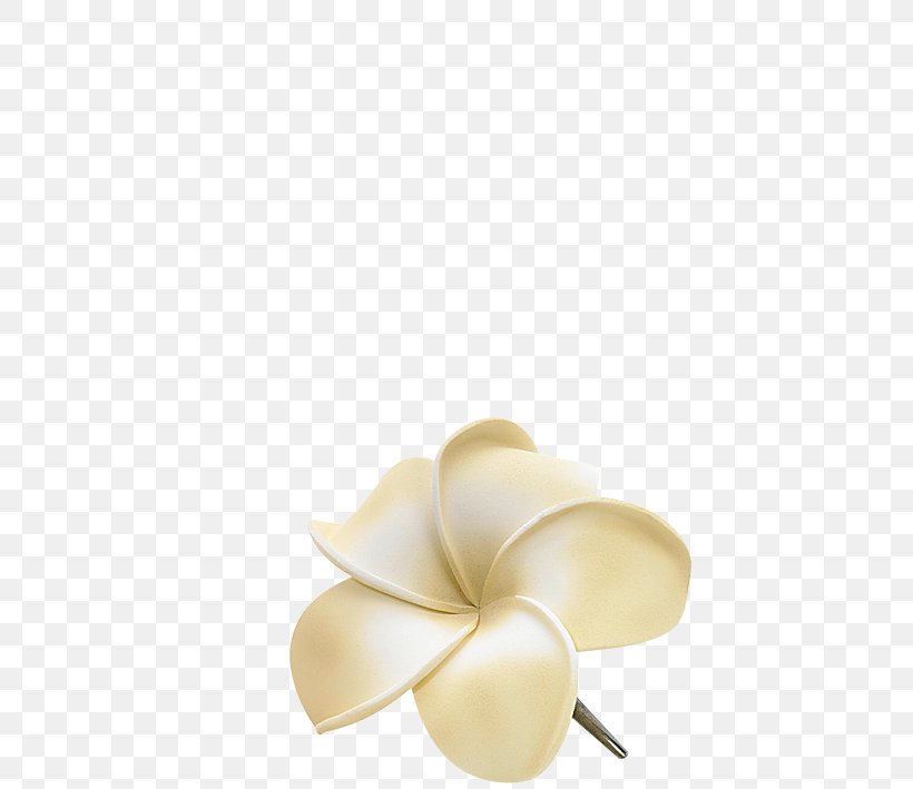 Frangipani Beige, PNG, 709x709px, Frangipani, Beige, Petal Download Free