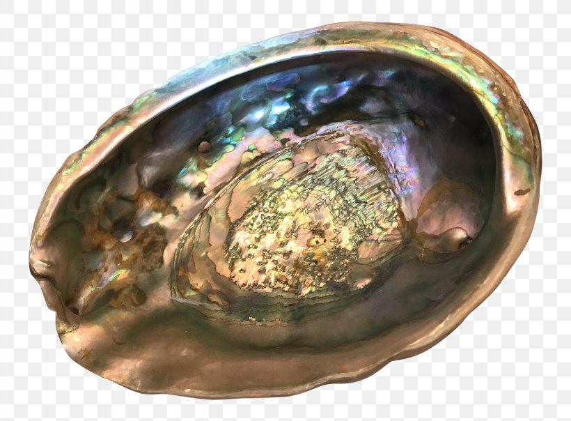 Metal Abalone, PNG, 2661x1963px, Metal, Abalone, Animal Source Foods, Artifact, Clams Oysters Mussels And Scallops Download Free