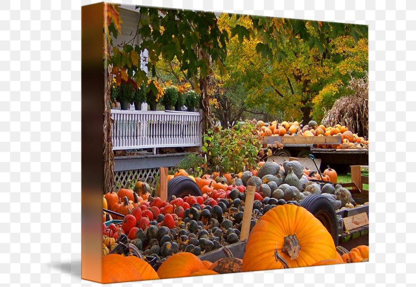 Pumpkin Gallery Wrap Gourd Canvas Fruit, PNG, 650x567px, Pumpkin, Art, Autumn, Canvas, Food Download Free