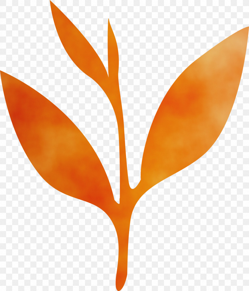 Bird Of Paradise, PNG, 2570x3000px, Tea Leaves, Bird Of Paradise, Flower, Leaf, Logo Download Free