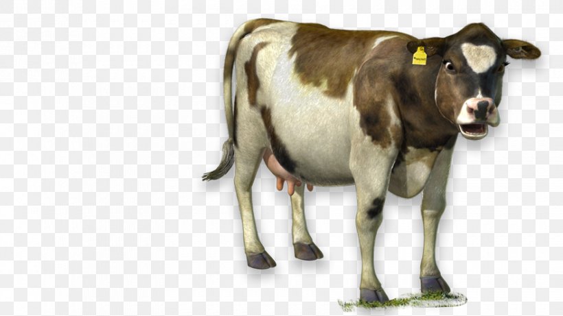 Dairy Cattle The Cow Ox, PNG, 880x495px, Dairy Cattle, Cattle, Cattle Like Mammal, Chemistry, Cow Download Free