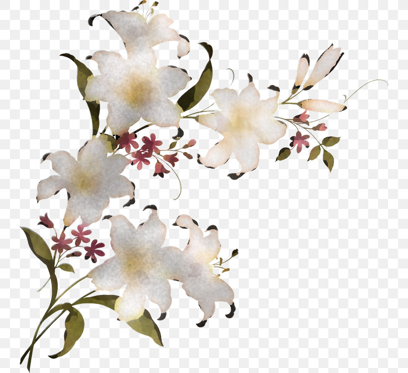 Lily Flower, PNG, 743x750px, Lily Flower, Cut Flowers, Floral Design, Flower, Flower Bouquet Download Free