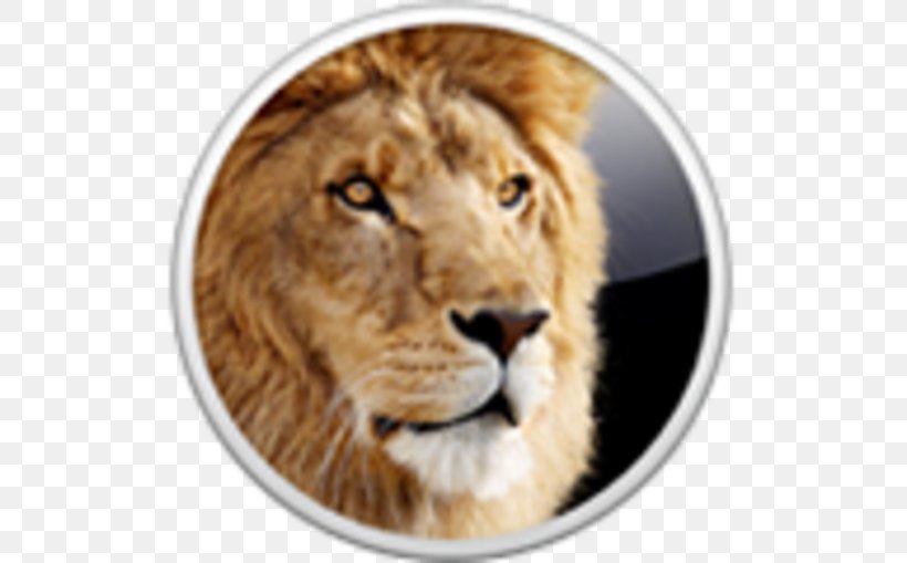 Mac OS X Lion MacOS Installation Operating Systems Apple, PNG, 700x509px, Mac Os X Lion, App Store, Apple, Big Cats, Carnivoran Download Free