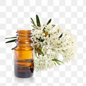 homeopathy images homeopathy transparent png free download favpng com