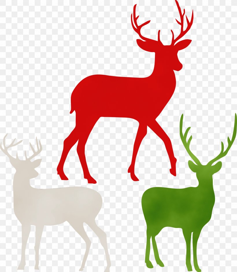 Reindeer, PNG, 2615x3000px, Watercolor, Antler, Deer, Elk, Horn Download Free