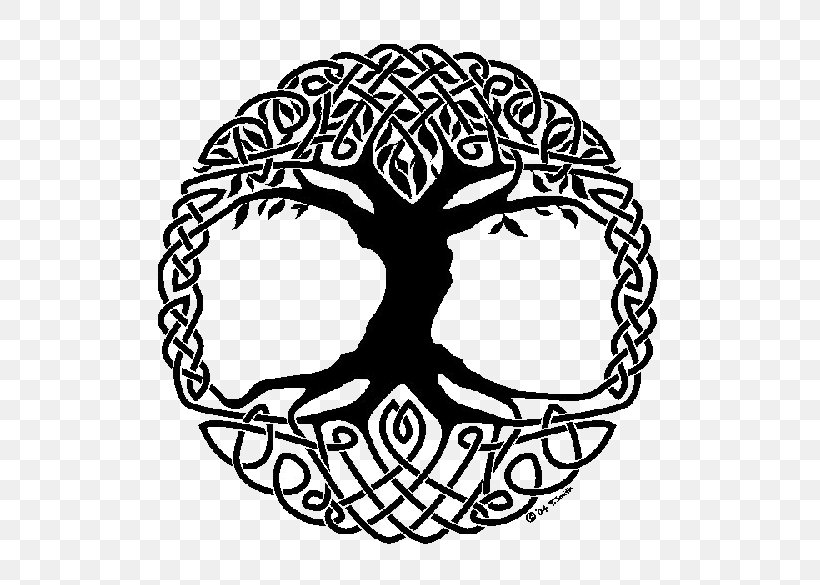 Tree Of Life Steel Tongue Drum Witchcraft Celtic Sacred Trees, PNG, 700x585px, Tree Of Life, Area, Black And White, Bone, Celtic Knot Download Free