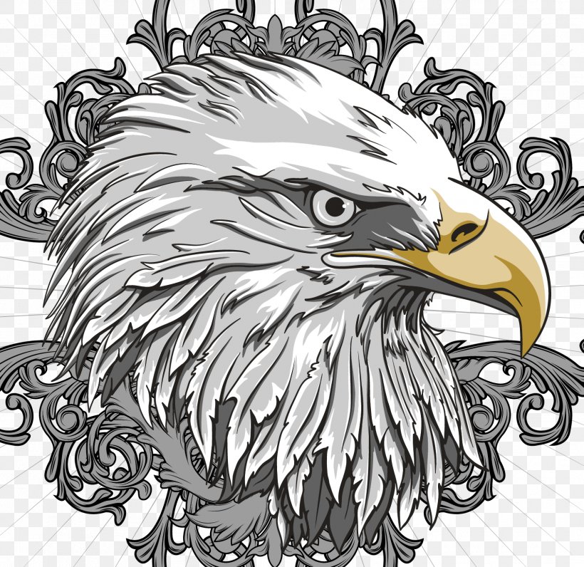 Bald Eagle Flag Of The United States, PNG, 1604x1558px, Bald Eagle, Beak, Bird, Bird Of Prey, Black And White Download Free