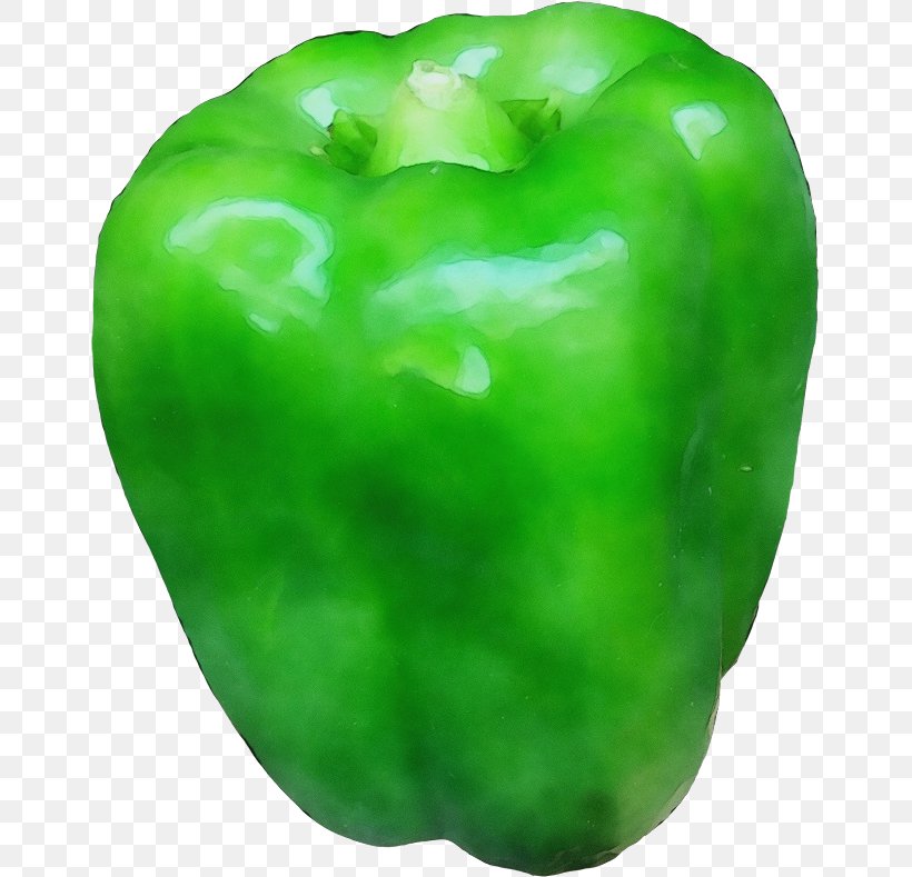 Bell Pepper Pimiento Green Capsicum Green Bell Pepper, PNG, 655x789px, Watercolor, Bell Pepper, Bell Peppers And Chili Peppers, Capsicum, Green Download Free