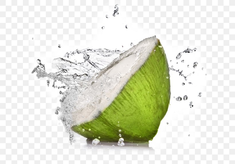Coconut Water Sports & Energy Drinks Health, PNG, 650x573px, Coconut Water, Coconut, Coconut Oil, Drink, Drinking Download Free