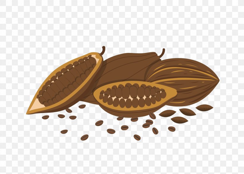 Coffee Bean Cocoa Bean, PNG, 2100x1500px, Coffee, Bean, Chocolate, Cocoa Bean, Coffee Bean Download Free