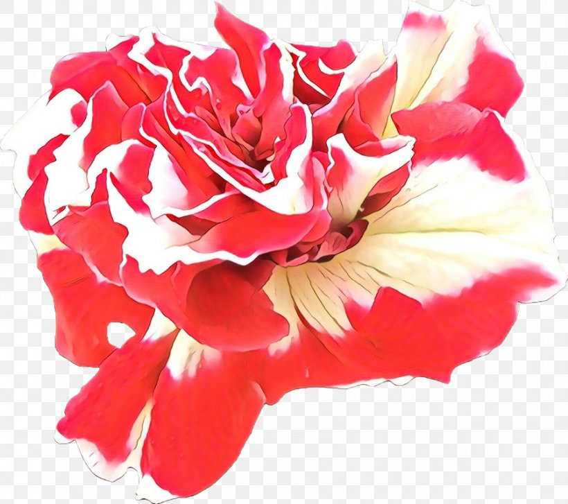 Pink Flower Cartoon, PNG, 900x799px, Flower, Artificial Flower, Carnation, Cut Flowers, Dianthus Download Free