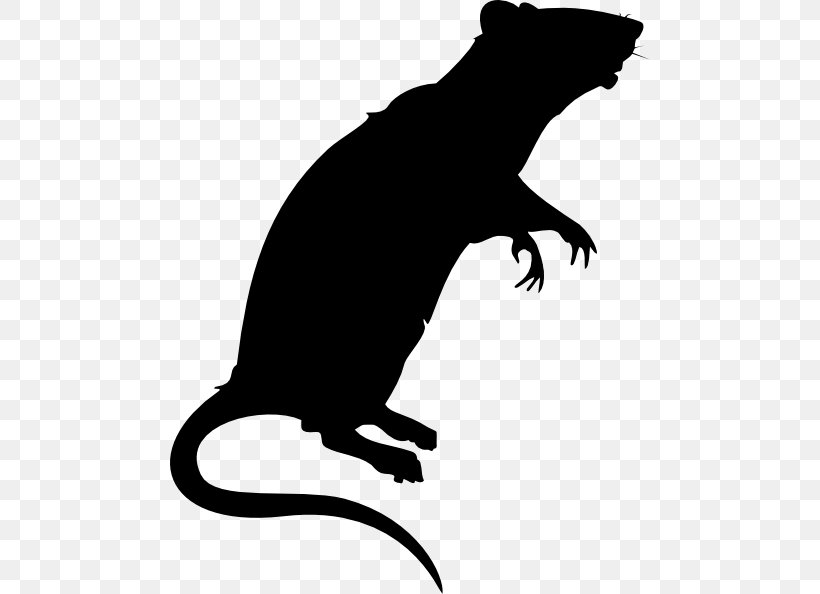 Rat Dog Clip Art Mammal Mustelids, PNG, 480x594px, Rat, Black M, Canidae, Claw, Dog Download Free