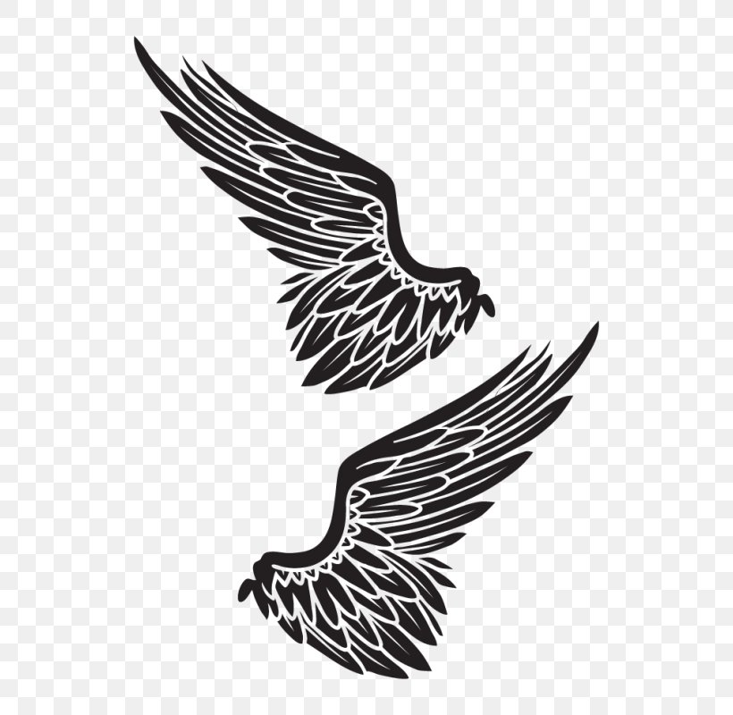 Bald Eagle High-definition Television Logo Desktop Wallpaper Wallpaper, PNG, 800x800px, Bald Eagle, Beak, Bird, Bird Of Prey, Black And White Download Free