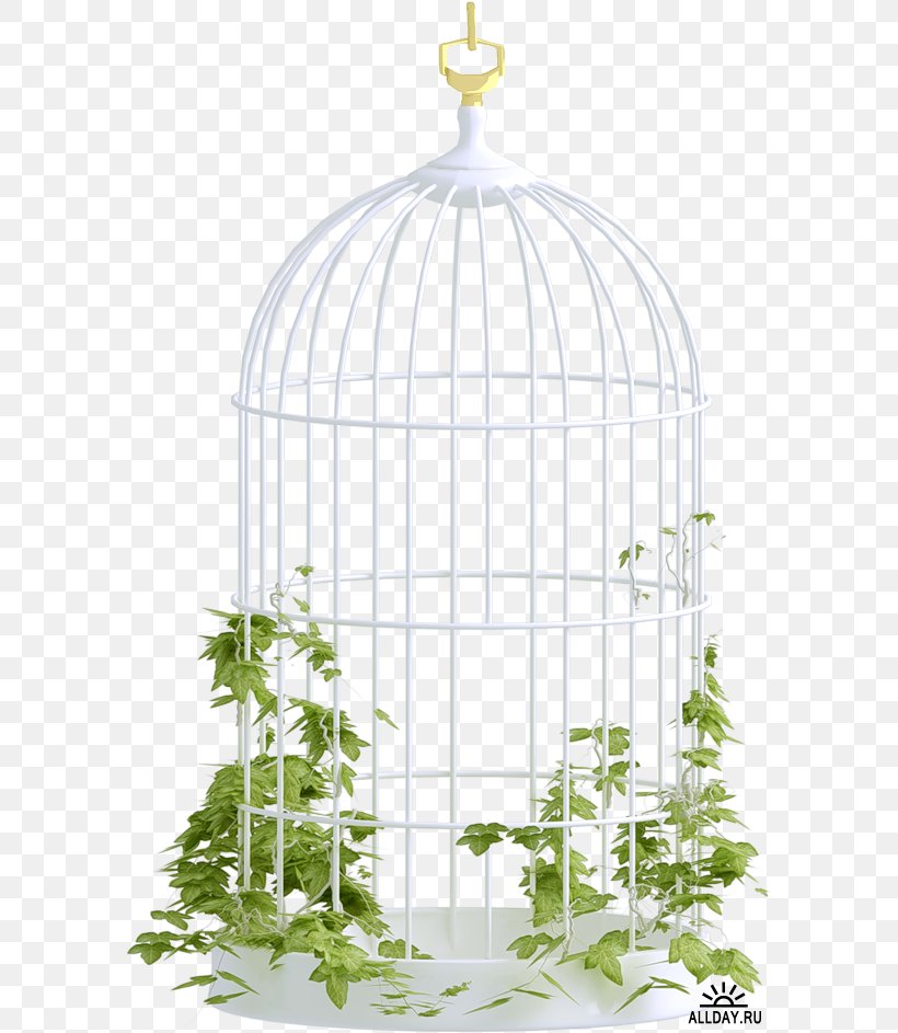 Birdcage, PNG, 589x943px, Cage, Bird, Birdcage, Convite, Outdoor Structure Download Free