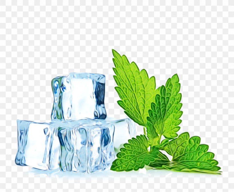 Flavor Menthol Peppermint Taste Mint, PNG, 1024x838px, Watercolor, Aroma, Capella Flavor Drops Concentrate 13ml, Flavor, Flavour Enhancer Download Free