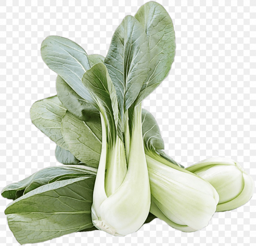 Vegetable Food Plant Flower Tatsoi, PNG, 1125x1083px, Vegetable, Chinese Cabbage, Flower, Food, Leaf Download Free