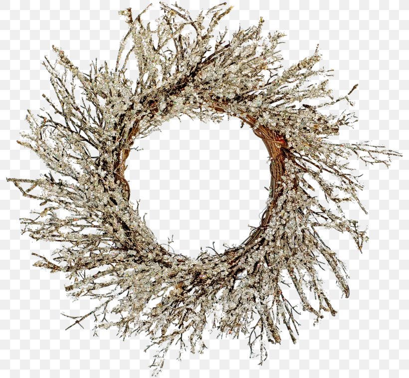 Wreath Twig Christmas Holiday Advent, PNG, 800x757px, Wreath, Advent, Bird Nest, Branch, Candle Download Free