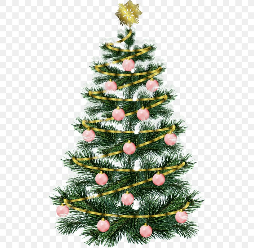 Christmas Tree Christmas Decoration Christmas Ornament Gift, PNG, 507x800px, Christmas, Christmas Decoration, Christmas Ornament, Christmas Tree, Conifer Download Free