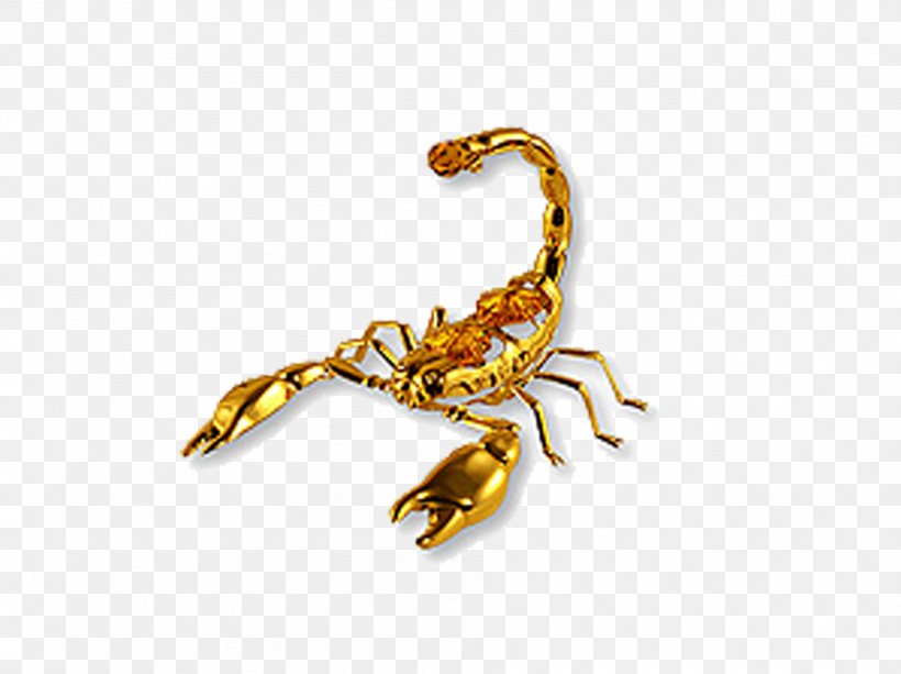 Scorpion Amulet Talisman Zodiac, PNG, 1892x1416px, Scorpion, Amulet, Arthropod, Astrological Sign, Evil Eye Download Free
