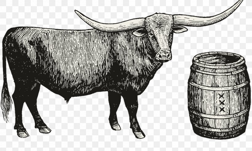 Texas Longhorn Zebu Moonshine United States Distilled Beverage, PNG, 1000x600px, Texas Longhorn, Animal, Black And White, Bull, Cattle Download Free