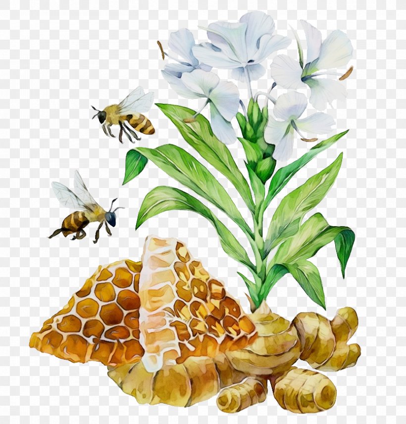 Watercolor Flower Background, PNG, 832x870px, Watercolor, Bee, Bee Pollen, Beehive, Flower Download Free