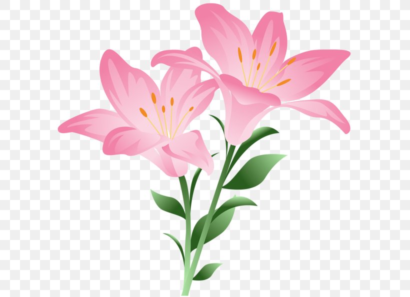 Lilium Bulbiferum Tiger Lily Flower Clip Art, PNG, 600x594px, Lilium Bulbiferum, Alstroemeriaceae, Cut Flowers, Floristry, Flower Download Free
