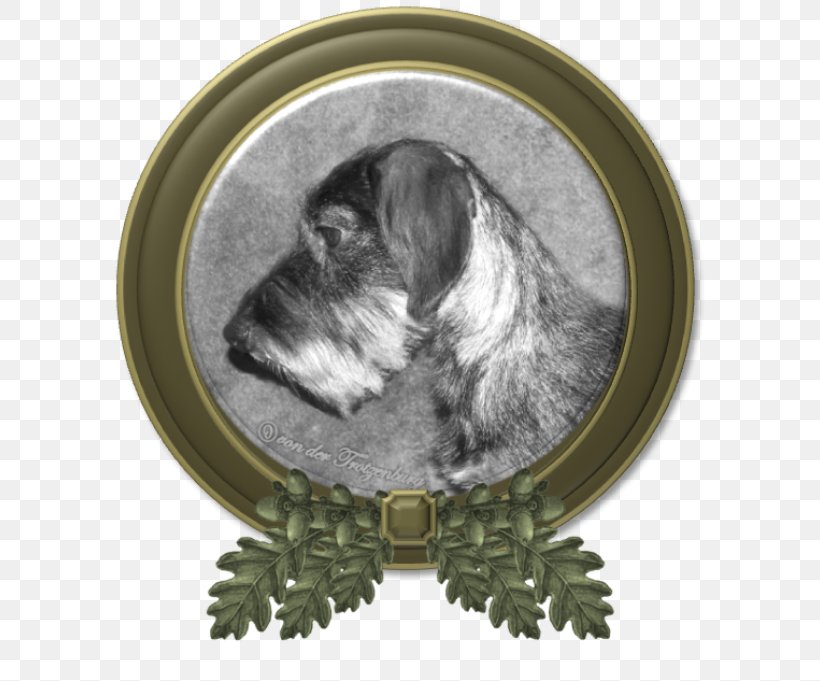 Miniature Schnauzer Schnoodle Dog Breed Petit Basset Griffon Vendéen Wirehaired Pointing Griffon, PNG, 600x681px, Miniature Schnauzer, Bread Pan, Breed, Carnivoran, Cesky Terrier Download Free