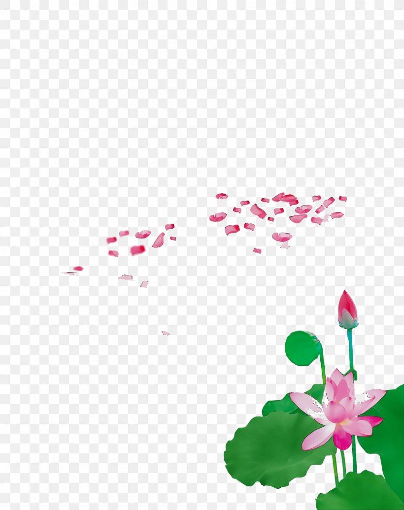 Pink Flower Plant Petal Pedicel, PNG, 1584x2000px, Watercolor, Flower, Herbaceous Plant, Paint, Pedicel Download Free
