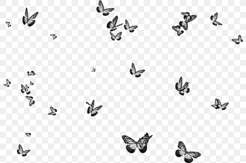 Butterfly Image Insect Adobe Photoshop, PNG, 800x545px, Butterfly, Art, Bird, Blackandwhite, Butterflies Download Free