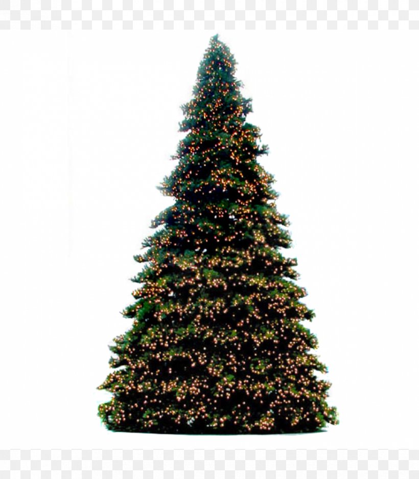Christmas Tree Spruce Fir Christmas Ornament Pine, PNG, 875x1000px, Christmas Tree, Christmas, Christmas Decoration, Christmas Ornament, Conifer Download Free