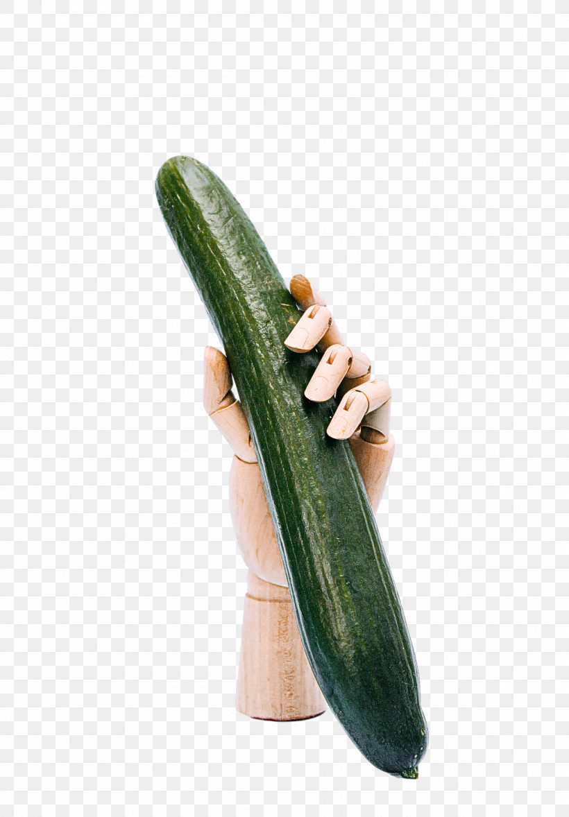 Cucumber Fermented Cucumbers Cucurbits Melon Cucumis, PNG, 1200x1724px, Cucumber, Cucumis, Cucurbits, Fermented Cucumbers, Melon Download Free