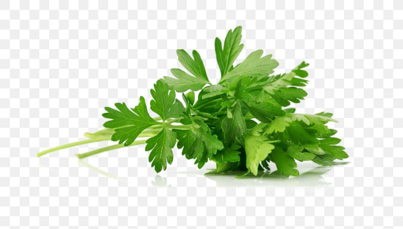 Parsley Asian Cuisine Hummus Herb Spice, PNG, 699x466px, Parsley, Asian Cuisine, Common Sage, Coriander, Fines Herbes Download Free