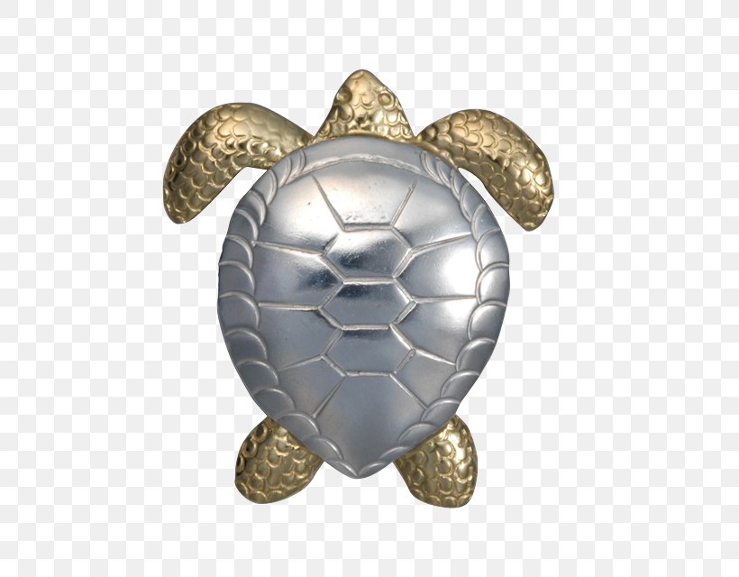 Bail Tortoise Charms & Pendants Sea Turtle, PNG, 640x640px, Bail, Charms Pendants, Clothing, Courtney Design, Emydidae Download Free