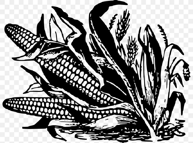 Corn On The Cob Black And White Corn Fritter Candy Corn Maize, PNG, 800x606px, Corn On The Cob, Art, Black And White, Candy Corn, Commodity Download Free